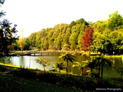 Emerald Lake - Santosa