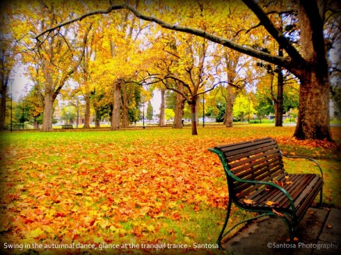 Swing in the autumnal dance; glance at the tranquil trance - Santosa